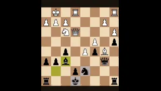 Just a Casual CHESS Game
