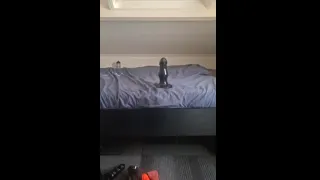 Extreme anal gape Huge dildo's - Triple anal