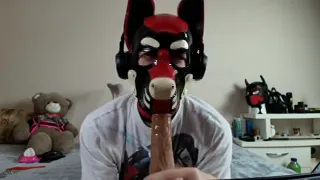 Latex puppy sucks his rubber bone. Watch the full on my Fancentro