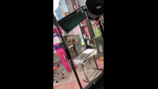Tattoo Shop Slut Gets Pussy Licked & Sucks Cock While Getting Inked