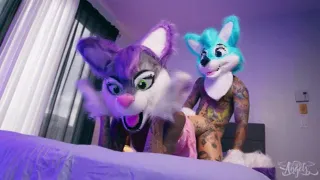 Furry Fantasy / TransAngels