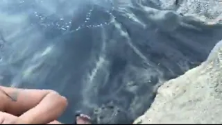 COMPILAÇÃO SÓ GOZADA NA CARA , CUM FACIAL SÓ GOZADA FARTA (Adão e Eva).