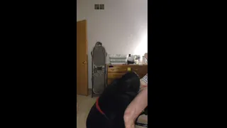 Gay Frenchie Gets Honeypot