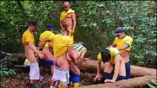OS BRASILEIRINHOS 2026.