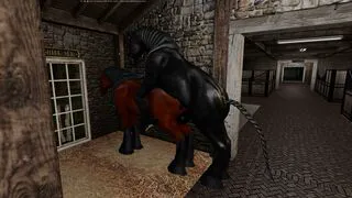 Shire stallion mating with Shire mare