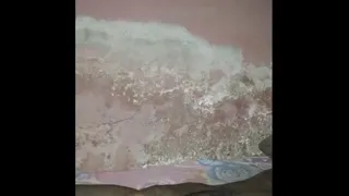 Big Cock Pees and Fucks His Bed Conspicuously