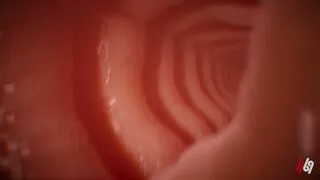 Babes breasted H69 movies fuck comp