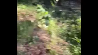 A Redhead Boy Went for a Pee in the Woods and His Friend Followed Him