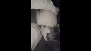 lolavegassss drives wild cock until exhaustion meets surrender
