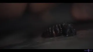 Lesbian Military Threesome - Horny Girls Infected by Alien Parasites