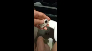 Qué prefieres un fume o mi verga