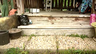 POV Ginger Mommy Outdoor Dirty Foot Tease In Sandals