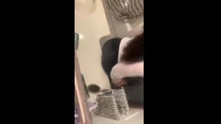 Fucked my personal trainer in the gym locker room