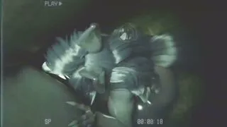 Mal0 Ability Deep Test