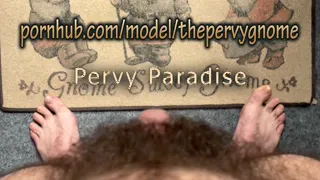 Pervy Paradise - my little weiner on vacation