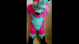 Totally An "Accident" - A full fursuiter pisses themselves