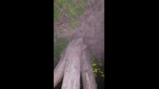 Park Scene Fuels Wild Public Masturbation