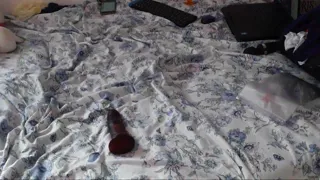 احلا مزة مصرية و احلا كلام مصري سكس بلدي يا جدع