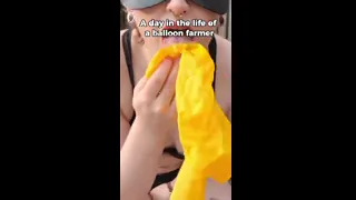 A day in the life of a full time balloon farmer!