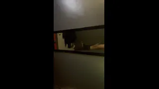 Giving several angles of big cock and huge cumshot