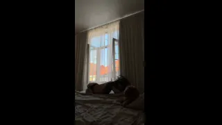 Curvy ass lifted high on the bed 🖤