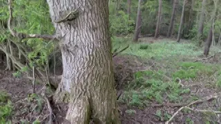 Bare pee under open skies