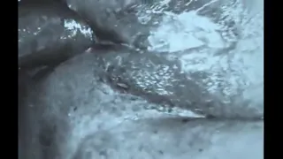 Evangélica de bunda grande, chupando pica e dando o cu