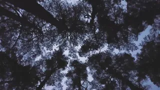 test1805test