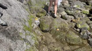 Met a beautiful girl on the beach. Persuaded the girl to have quick sex and a blowjob.