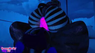 Having some Zebra fun