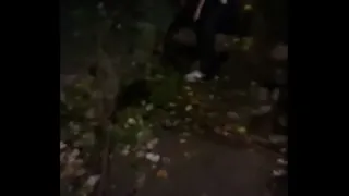 Amateur Boy Caught Peeing in a Park and Given a Handjob