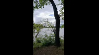 Jilling off at Camp Crystal Lake