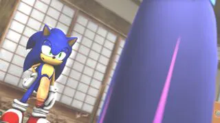 Sonic x stocking anarcy