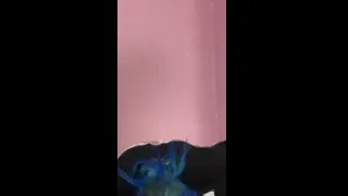 Erotic clown magic show!