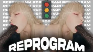 Reprogram - Red Light/Green Light [BBC Focus]