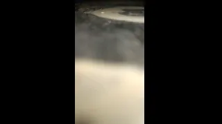 Me encanta la verga