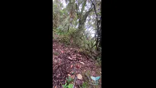 Horny Schoolgirl got Lost in the Forest and is ready to do anything to get out