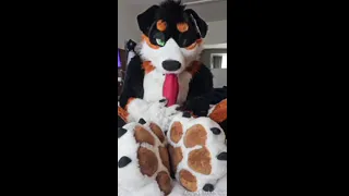 Furry boy sucks himself and shows off his soft paws
