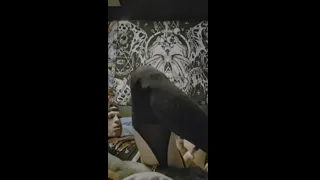 I need some cum