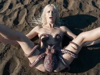 o&c: octopus and chill