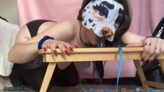 leash banging the table as pup bounces wet throat on your cock, blowjob, femboy