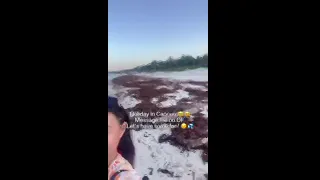 💖 YimingCuriosity - Holiday update 🍋 / Asian Chinese amateur teen solo female JOI POV