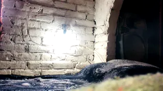 Chica trans juega con su verga y se mete un consolador