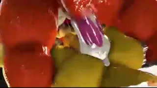 bowser-x-moonwulf