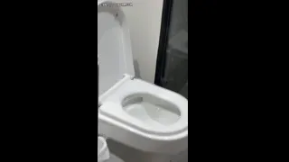Mi pequeño esclavo de retrete