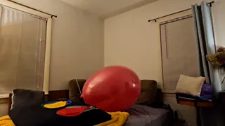 Gay Bear Riding Balloon.