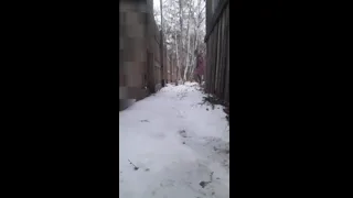 While waiting for the bus, I had to pee, so I went behind the bus stop. Because my cock was hard, I had to ejaculate.