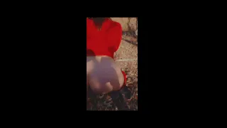 Dicked down in the Woods