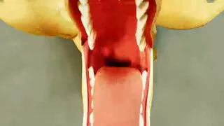 Oral vore by danger n00dle