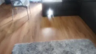 Big cock man loves pillow fucking soo horny